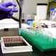 Illustration for article titled USDA Is Forcing Its Researchers to Label Their Peer-Reviewed Studies as Only Preliminary